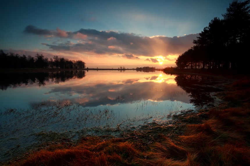 Leirintäalue sijaitsee lähellä kaunista Dwingelderveldin kansallispuistoa. Kuva: © Olha Rohulya | Dreamstime.com