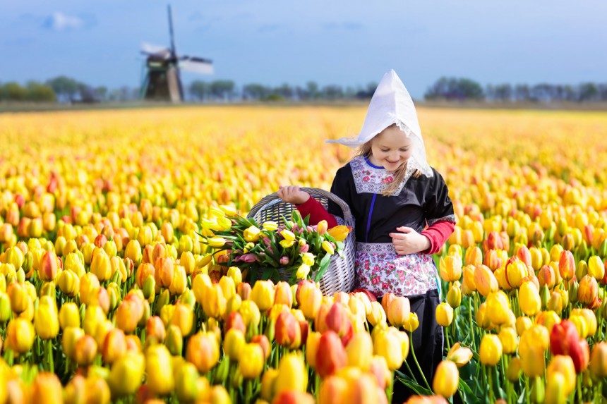 Hollanti on kuuluista tulppaaneistaan. Kuva: © Palex66 | Dreamstime.com