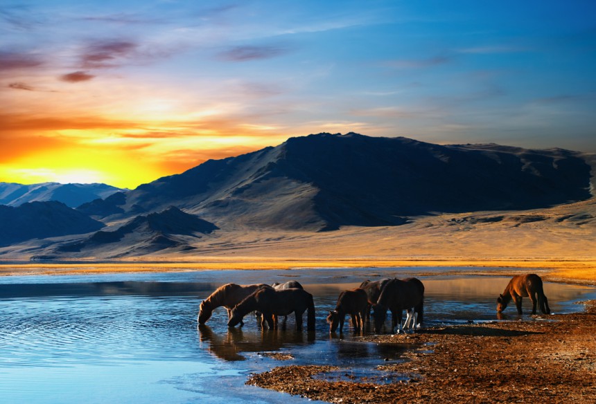 Auringonnousu Mongolian arolla. Kuva: © Dmitry Pichugin | Dreamstime.com