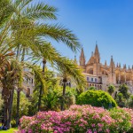 Espanjan kohteille tunnustusta – Vuoden 2025 kiinnostavimpien kohteiden listalla klassikko Palma de Mallorca