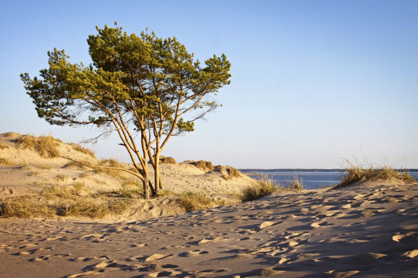 Yyteri, Pori - Kuva: Tomi Tenetz / Dreamstime
