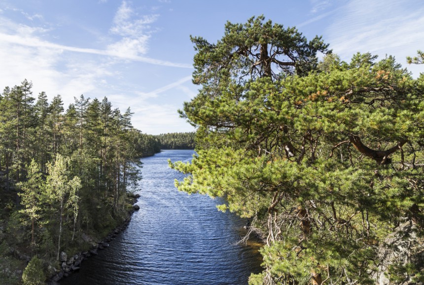 Repoveden kansallispuisto - Kuva: Janne Skinnarla