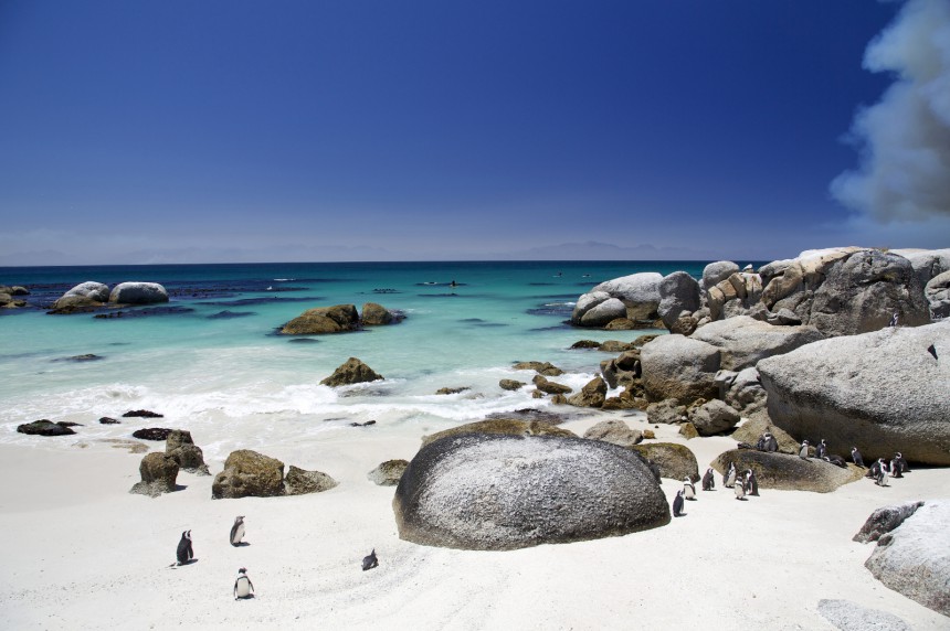 Boulders Beach, Etelä-Afrikka