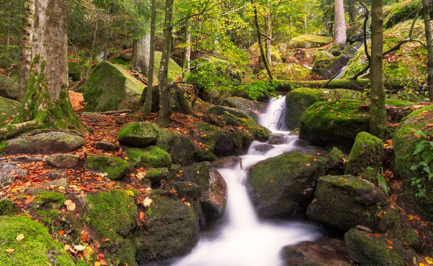 Schwarzwald, Saksa. Kuva: © Fisfra | Dreamstime.com