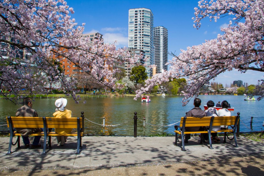 Ennuste kertoo mihin aikaan tänä keväänä kannattaa matkustaa Japaniin katsomaan kirsikankukkia