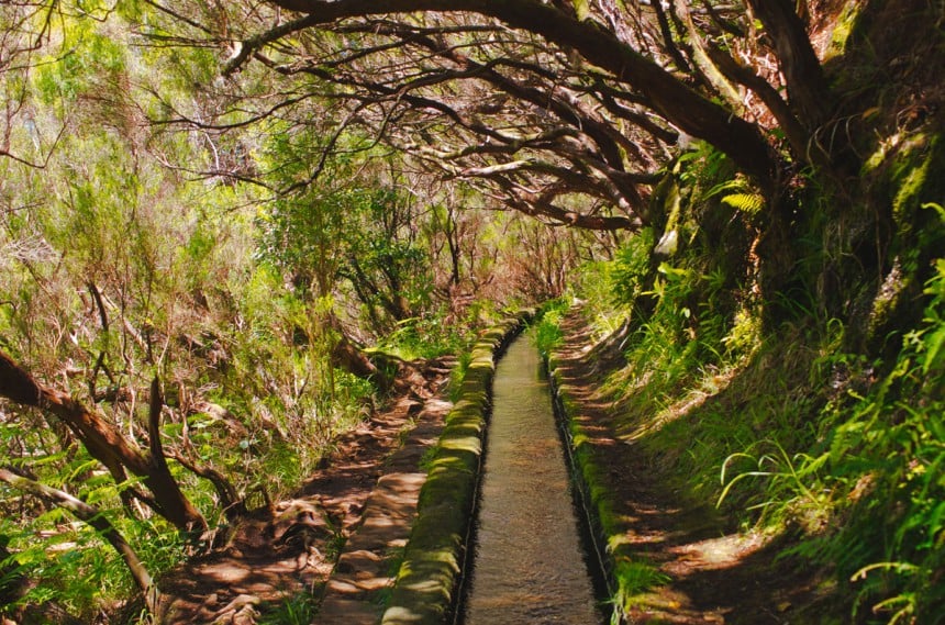 Madeiran levadat ovat miellyttäviä retkikohteita keväisin
