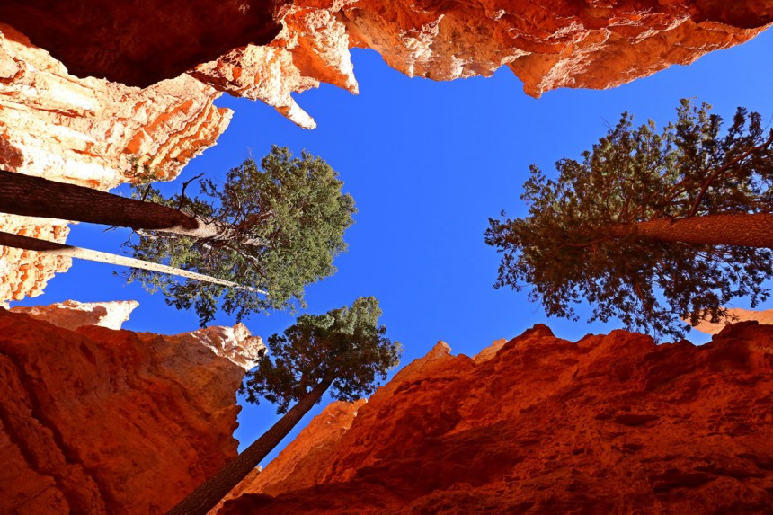 Punainen kallio ja sininen taivas - näitä kelpaa valokuvata. Kuva: Andy Kramer | Dreamstime.com
