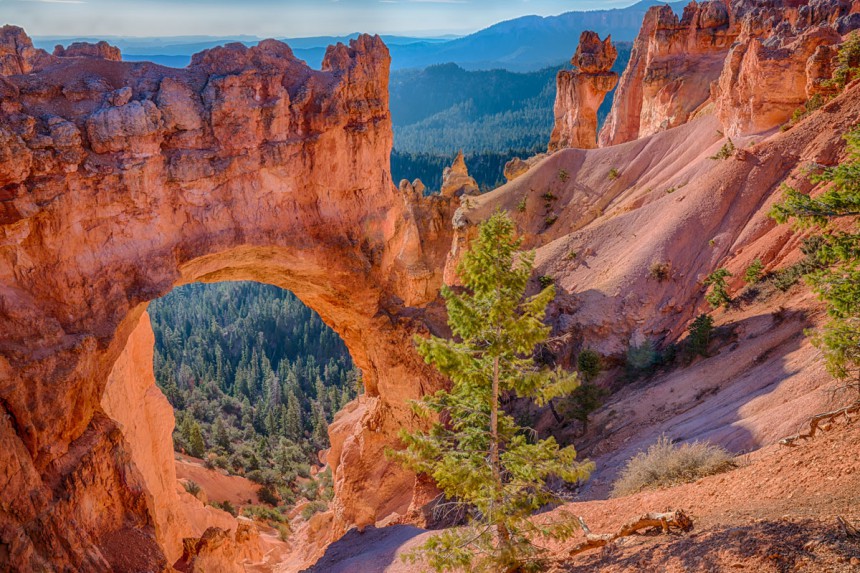 Luonnon muovaama kaari kalliossa Utahin Bryce Canyonissa. Kuva: Paul Brady | Dreamstime.com