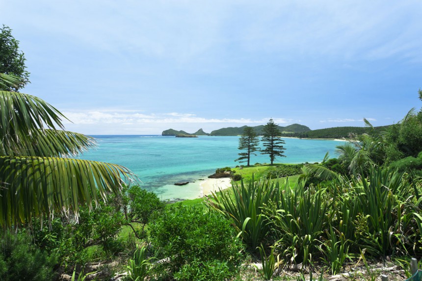 Lord howe Island on luonnonystävän paratiisi. Kuva: Imagesupply | Dreamstime.com