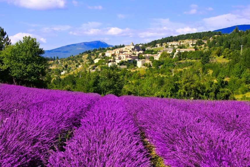 Miten kaunista! Provencen laventelipellot ovat hurmaava näky - Tässä vinkit vierailuun