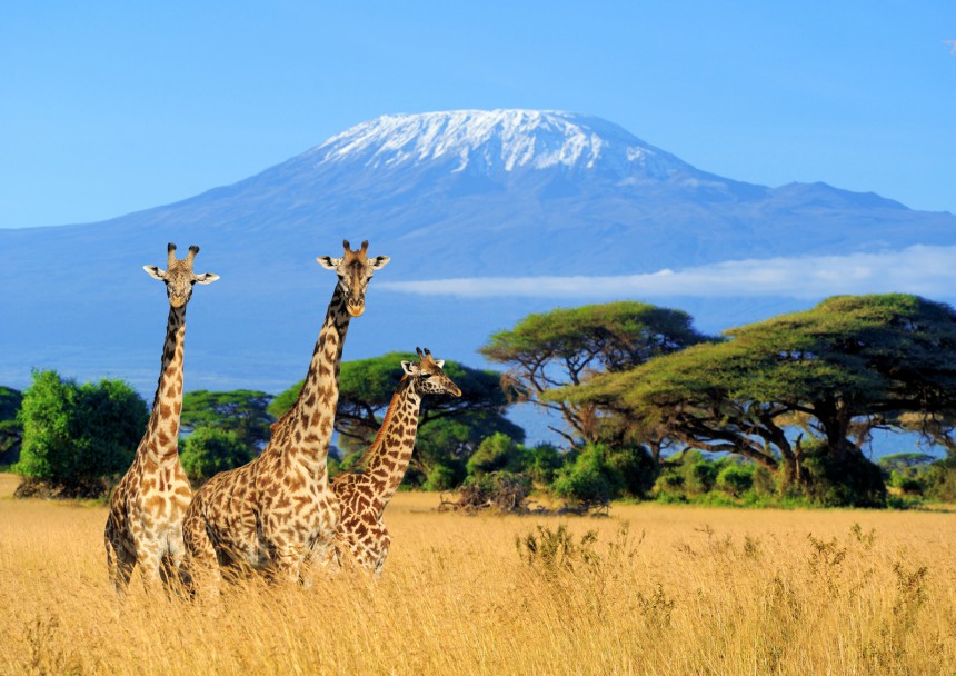 10 uskomatonta luonnonihmettä Afrikassa