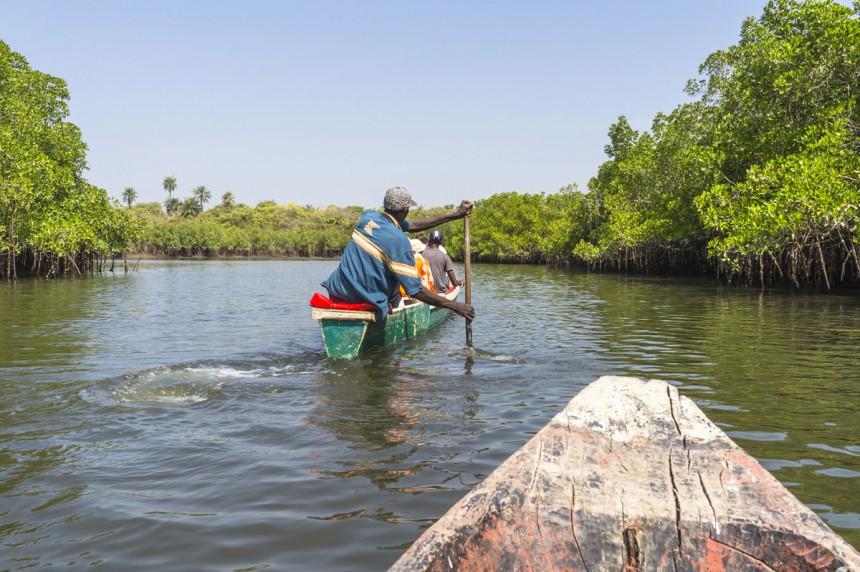 Yli 550 lintulajia - Gambia on muutakin kuin rantalomaa täysihoidolla