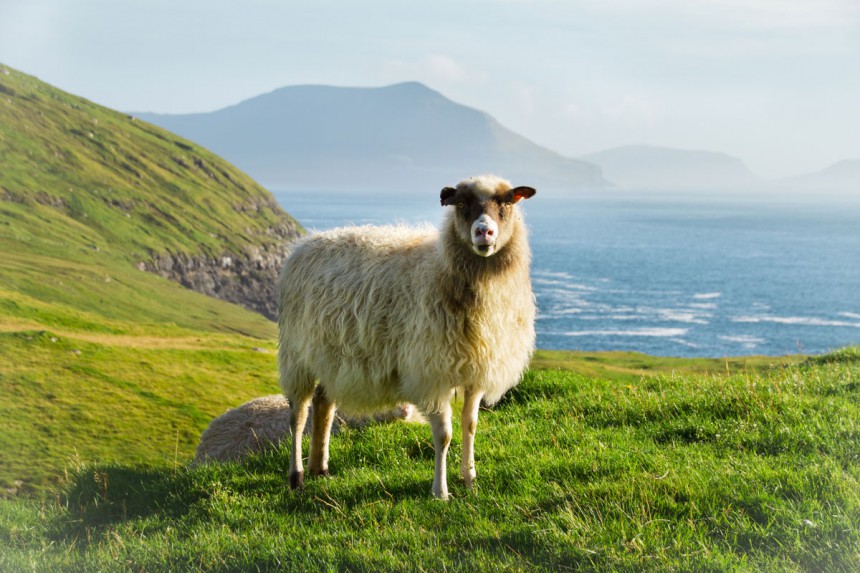 Lunneja, lampaita ja Instagramin arvoiset maisemat - Hurmaavat Färsaaret valloittavat