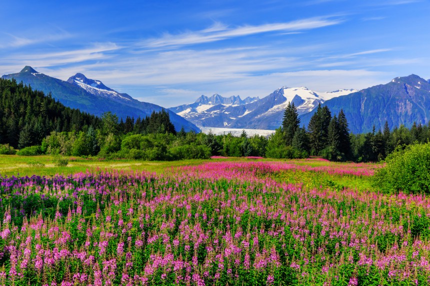 Alaskan maisemat muuttavat tavallisen turistinkin luontomatkaajaksi. Kuva: SCStock | Adobe Stock