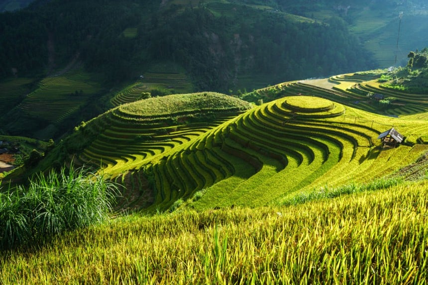 Terassimaisesti rakennetut riisipellot viehättävät Pohjois-Vietnamissa