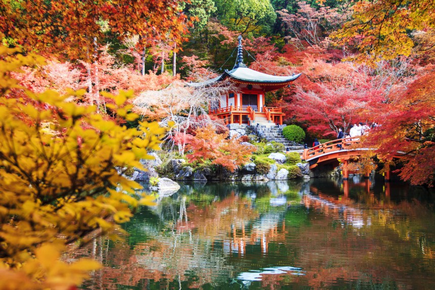 Kevään hanamin lisäksi myös syksyn väriloisto hurmaa Kiotossa.