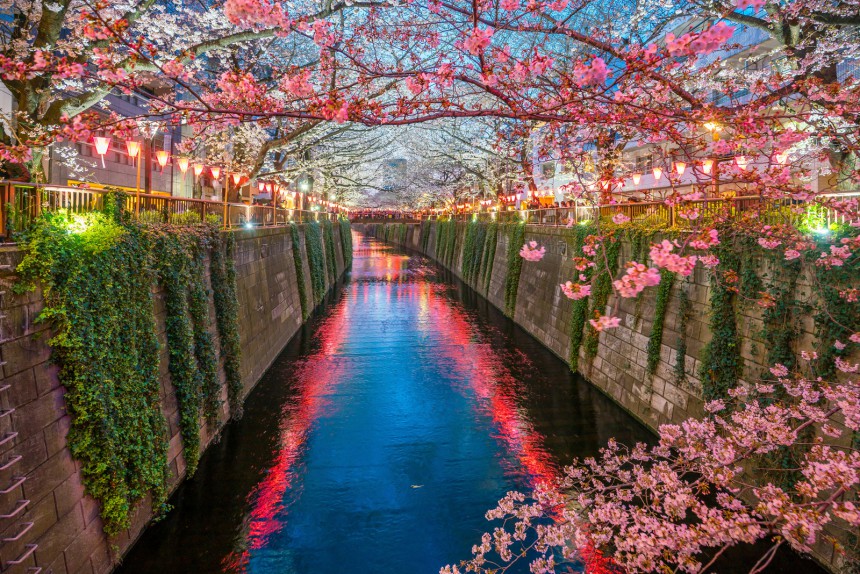 Keväisin Tokion lähellä sijaitseva Meguro-joki on kauneimmillaan.