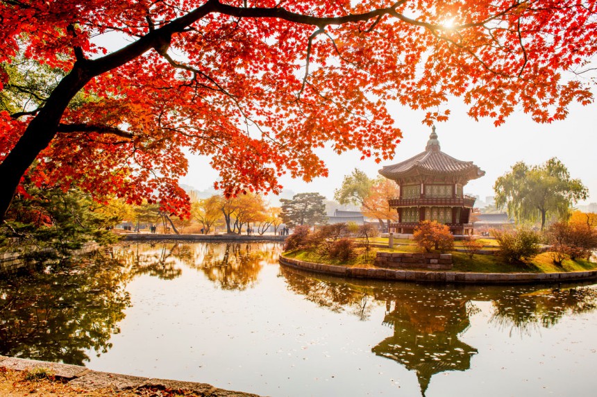 Gyeongbokgungin palatsi Korean Soulissa syksyn värien ympäröimänä. Kuva: © Tawatchai Prakobkit | Dreamstime.com