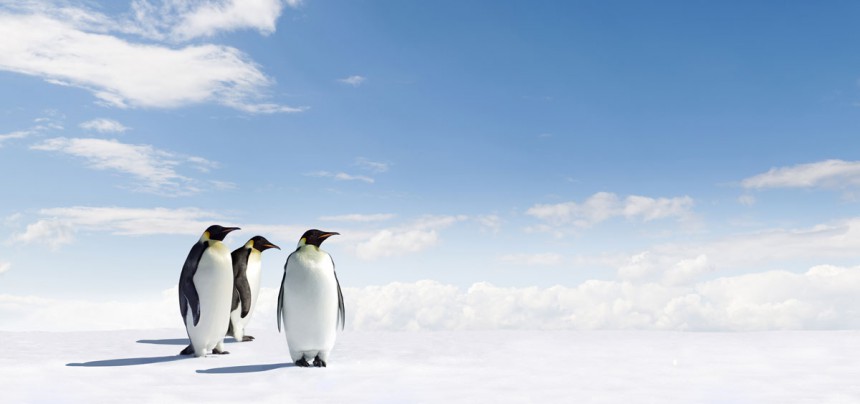 Joulukuu on erinomaista aikaa tehdä luontoretki Etelämantereelle. Kuva: © Jan Martin Will | Dreamstime.com