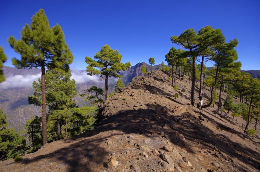 La Palma on patikoijien suosiossa.