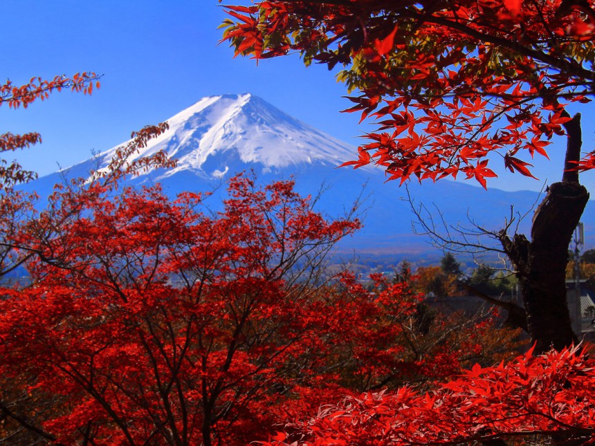 Japanissa luonto on käsittämättömän kaunis - kuvassa Fuji-vuori syksyn värien ympäröimänä. Kuva: © Evelyn Espinoza | Dreamstime.com