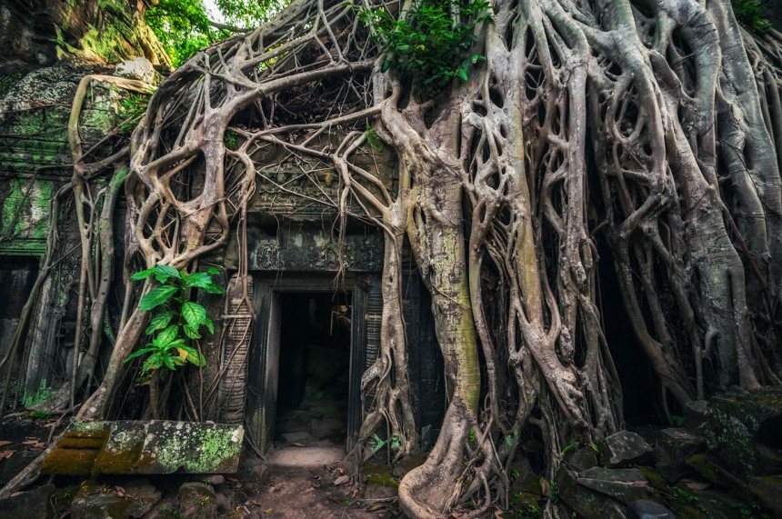 Angkorin temppelialueelta löytyvässä Ta Prohmin temppelissä on kuvattu Tomb Raider -elokuvaa. Kuva: © Lakhesis | Dreamstime.com