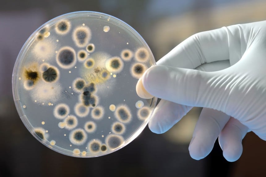 Bakteereita löytyy kaikkialta. Kuva: © Alexander Raths | Dreamstime.com