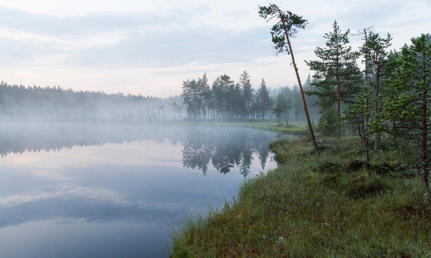 Seitsemisen kansallispuisto. Kuva: © Janne Skinnarla | Dreamstime.com